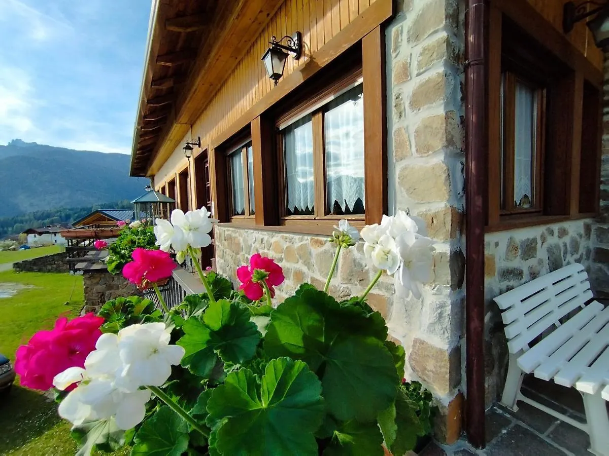Villa Salagona Laggio di Cadore 0*,