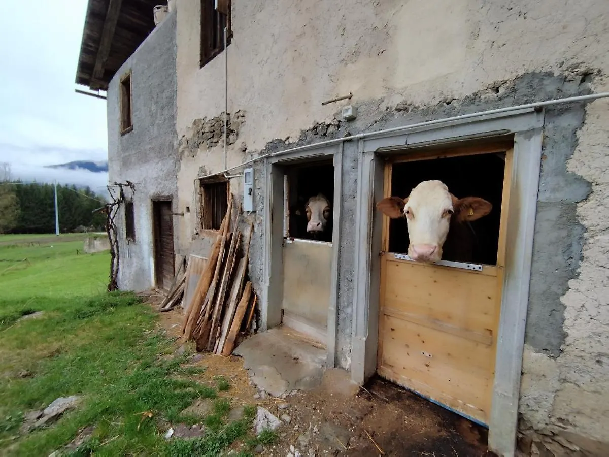 شقة Villa Salagona Laggio di Cadore إيطاليا
