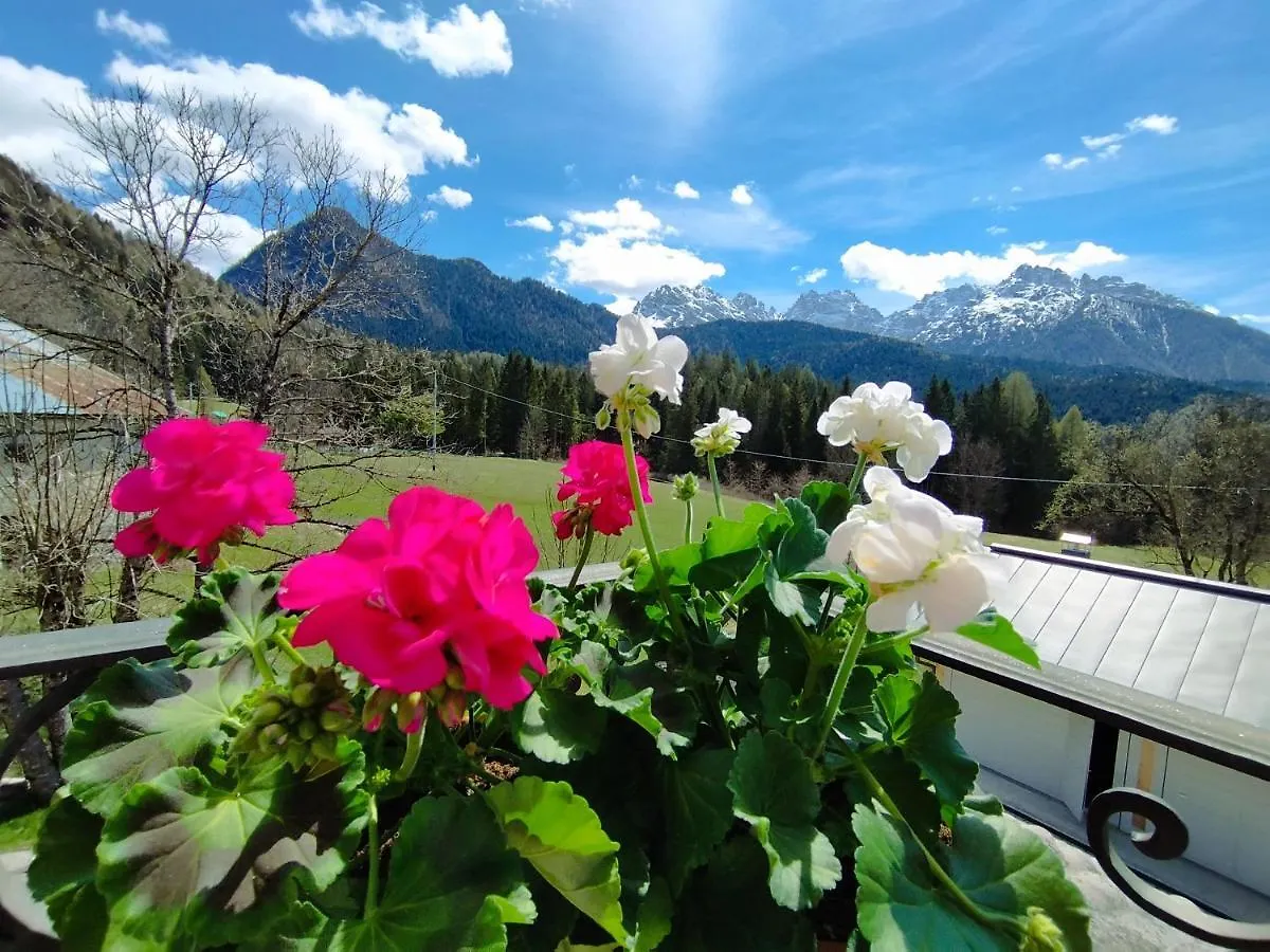 Villa Salagona Laggio di Cadore 0*,